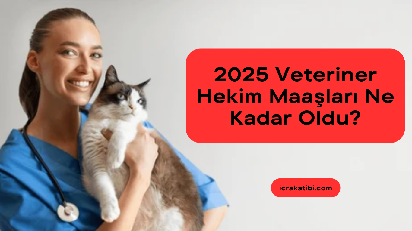 Veteriner Hekim Maaşları 2025 Ne Kadar Olacak? Veteriner Hekim Maaşları 2025 Ne Kadar Olacak?